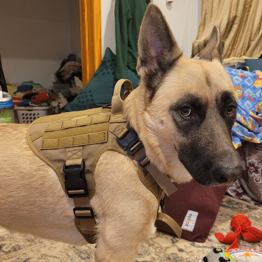 Med - Rabbittgoo tactical training adjustable military buckle vest harness